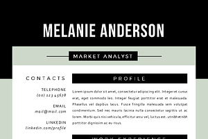 3 In 1 Modern 2 Pages Resume Pack