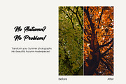 Autumn Vibes - Lightroom Presets, a Plug-in Add-On by ELITE ARTISTS (Thumbnail 10 of 14)