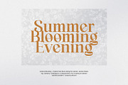 Moreland, a Serif Font by Imoodev (Thumbnail 4 of 5)