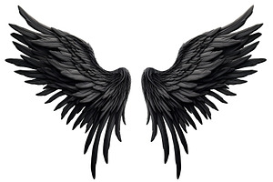 black wings on white background.  Generative Ai, a Photo by Ales Munt