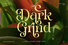Dark Grind Elegant Swash Serif Font
