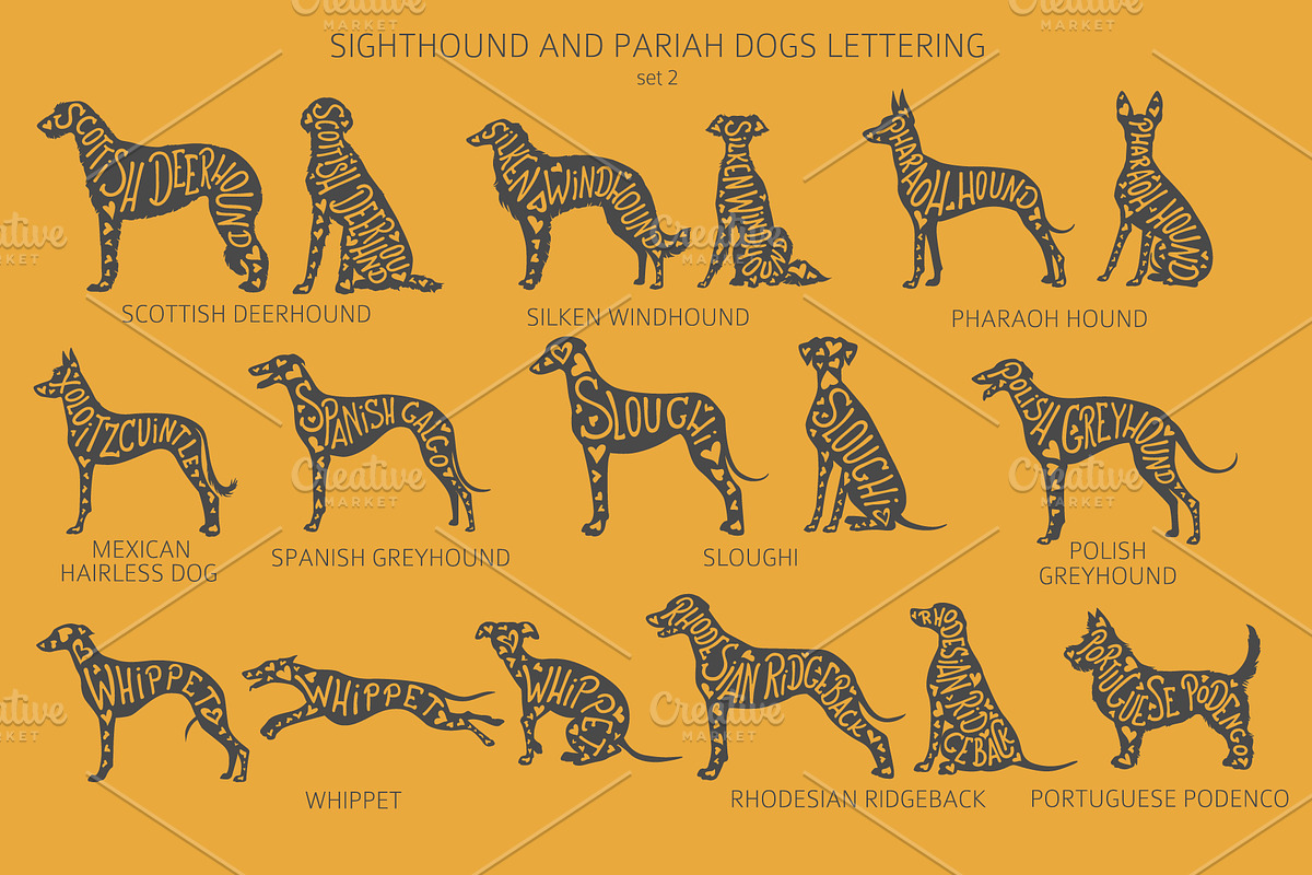 Sighthound and Pariah dog Silhouette, an Animal Illustration by pet design shop (Photo 3 of 9)