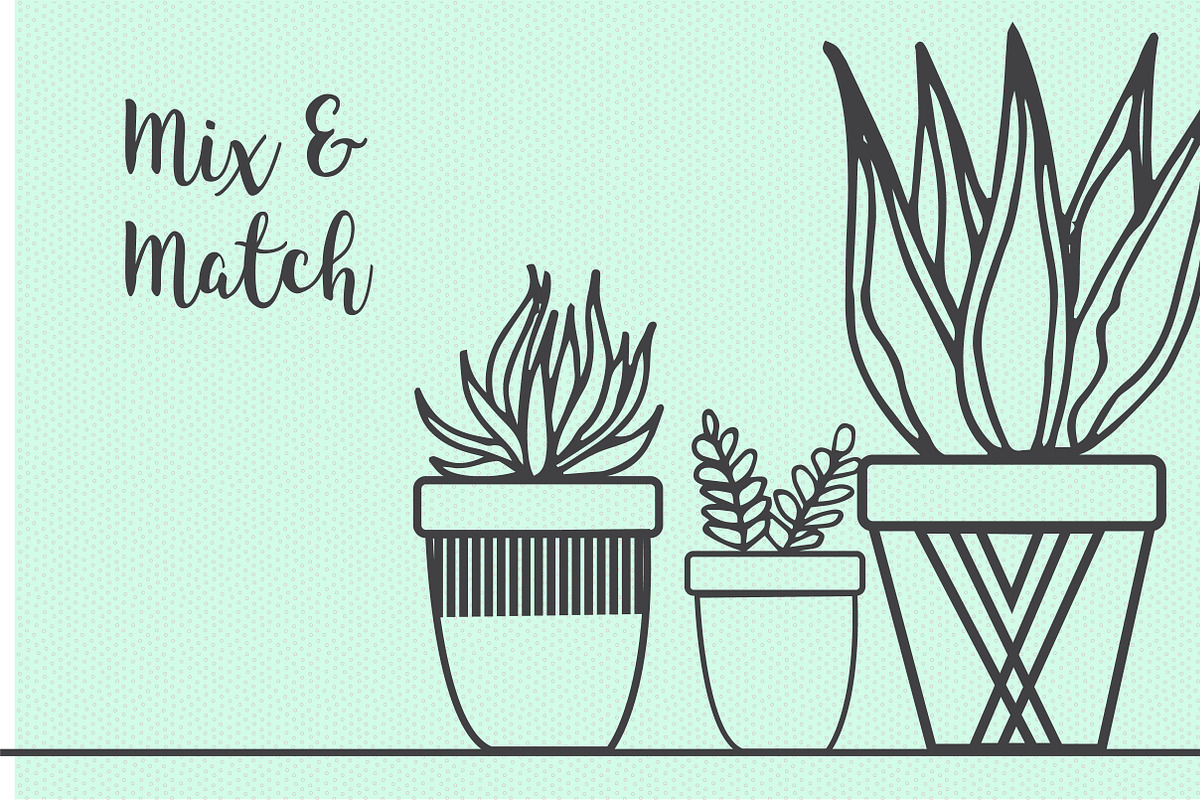 Hand Drawn Succulent Illustrations, an Illustration by Hannah Eliza Studio (Photo 4 of 6)