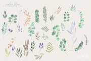 Handmade Foliage watercolour herbs, an Illustration by January Bloom (Thumbnail 6 of 13)