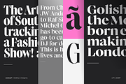 Animal, a Serif Font by Latinotype (Thumbnail 12 of 14)