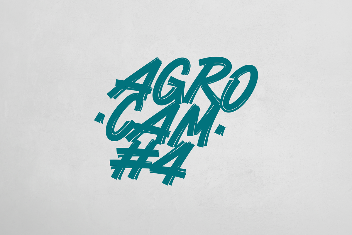 Rotang - Modern Handbrush Typeface, a Handwritten Font by Letterna (Photo 2 of 4)