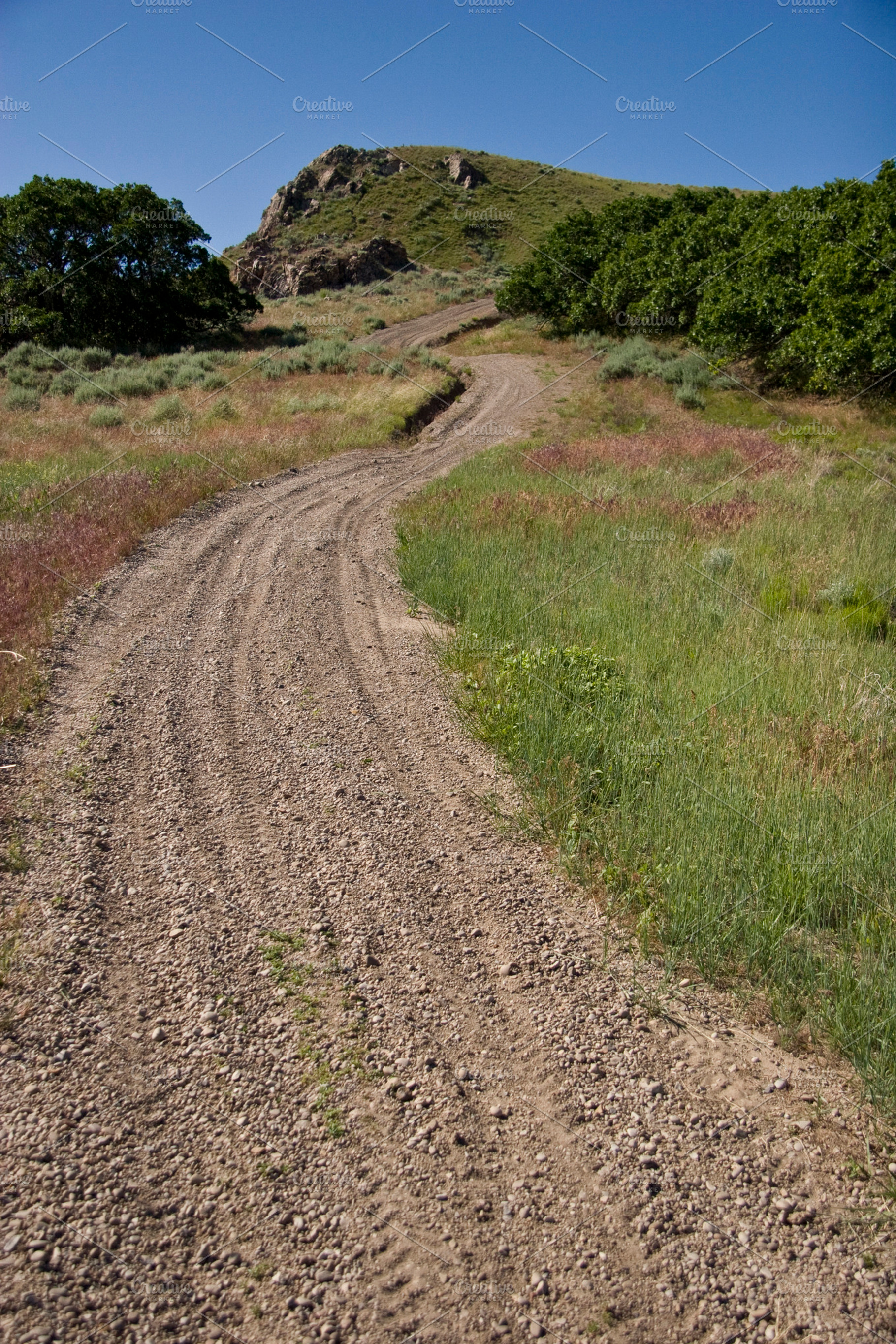 Dirt Trail (Photo), a Nature Photo by Tien Frogget