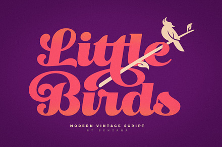 Little Bird Display Script, a Script Font by senzana