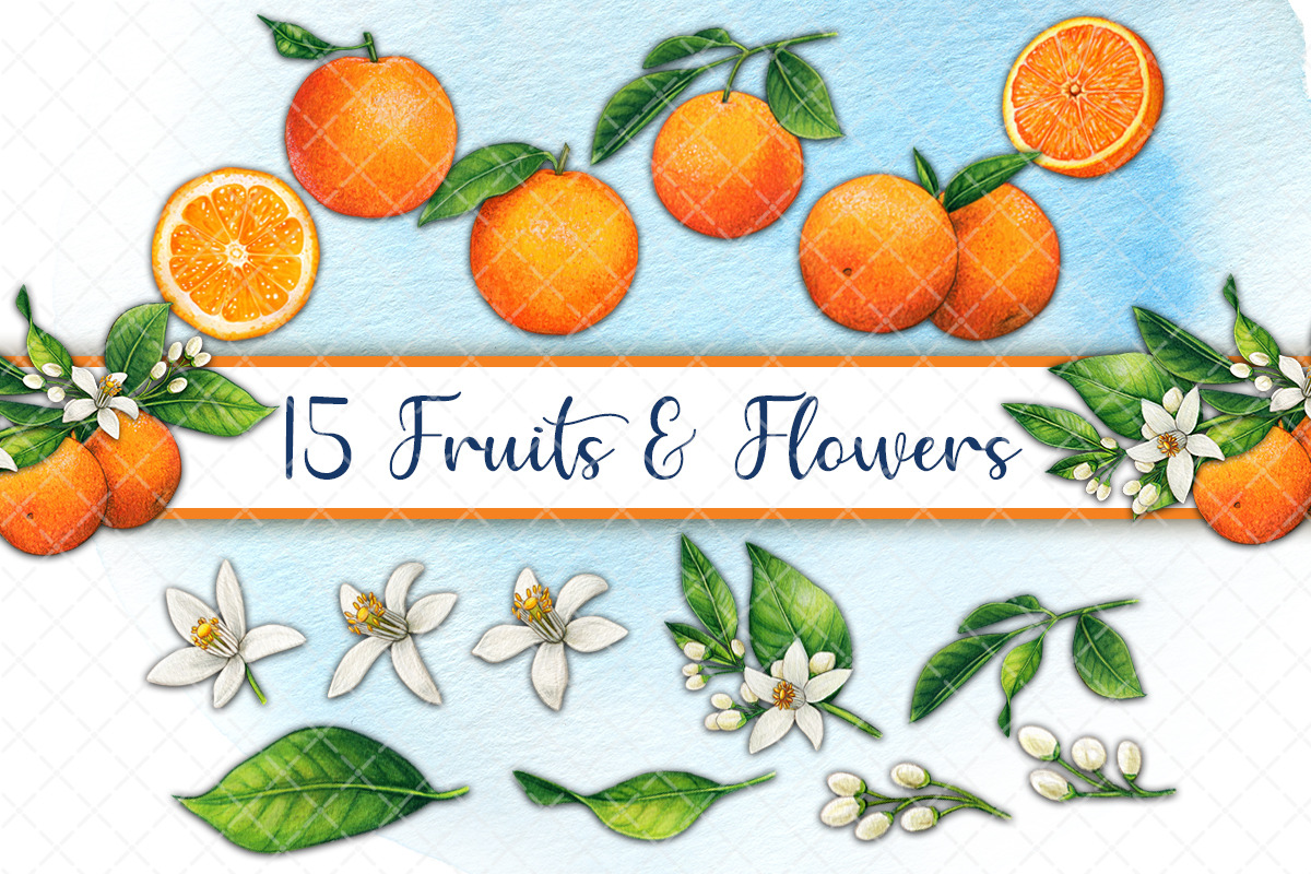 Mediterranean orange set, a Decorative Illustration by angychan (Photo 2 of 6)