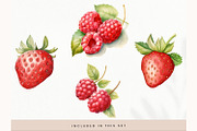 Watercolor Fruit Clipart, Fresh PNG, a Decorative Illustration by illuztrate (Thumbnail 5 of 13)