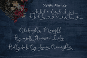 Blooming Valerian Font, a Handwritten Font by Letterhanna Studio (Thumbnail 10 of 19)