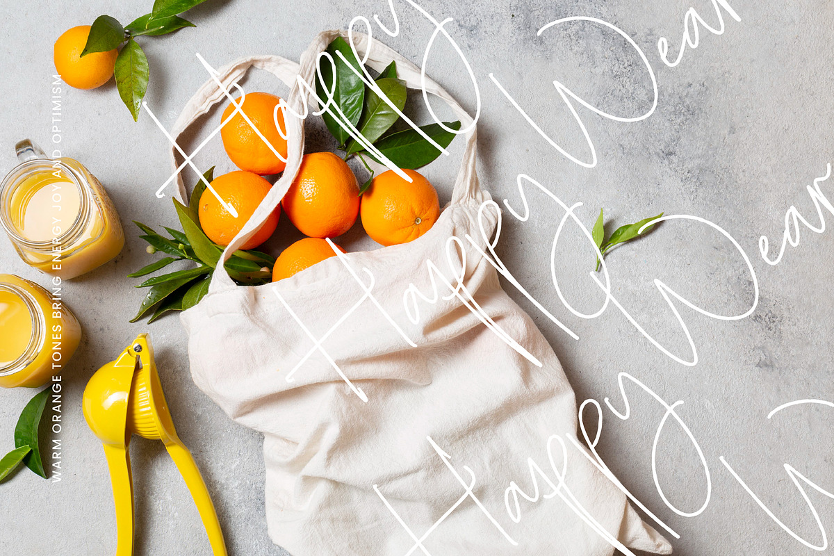 Sharottens Monoline Script, a Script Font by operatype.co (Photo 10 of 15)