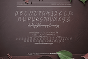 Radiant Moonlight Font, a Handwritten Font by Letterhanna Studio (Thumbnail 11 of 15)