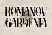 Bling Gilinira | Display Serif Font, a Serif Font by Denustudios (Thumbnail 2 of 15)