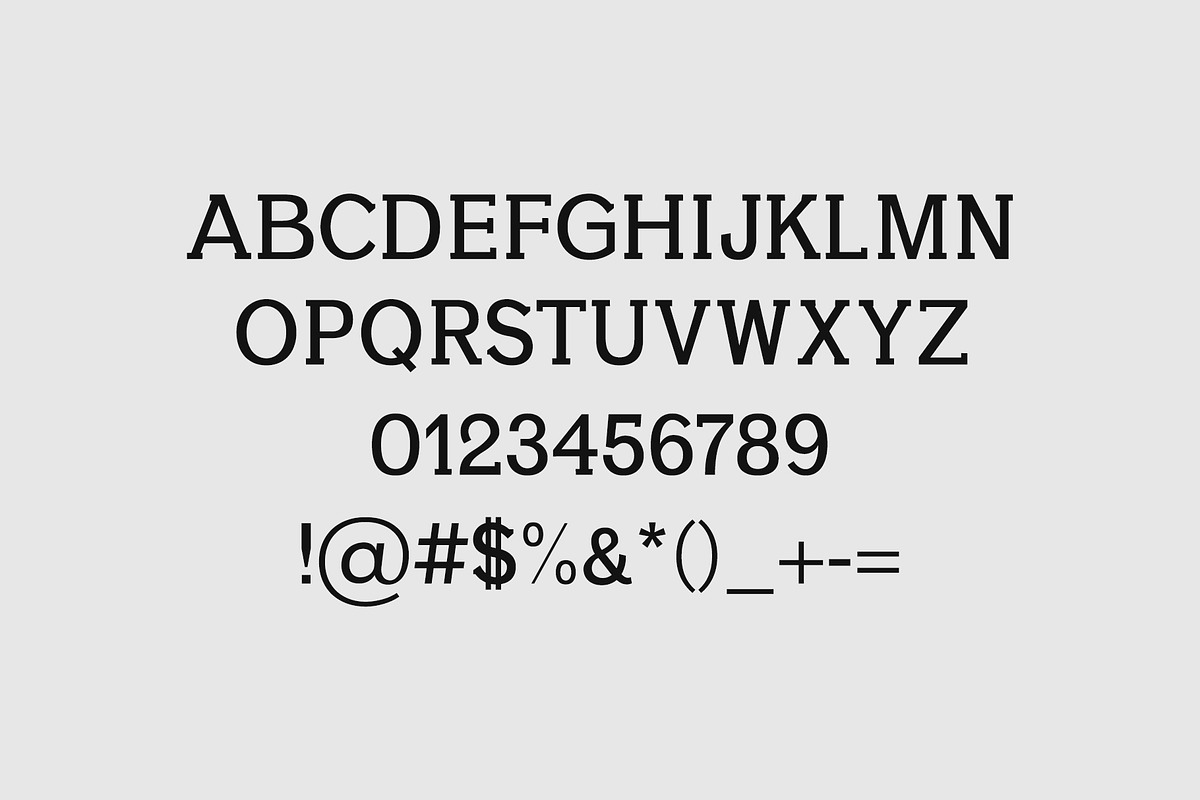 Aster Slab Serif 9 Font Family Pack preview 2