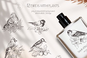 FOREST BIRDS sketches collection, an Animal Illustration by Yuliia Lashevska (Thumbnail 4 of 10)