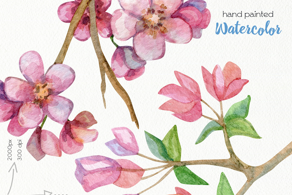 Watercolor Birds Clipart, an Animal Illustration by OllyKo Art (Photo 4 of 7)