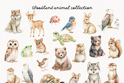 Woodland Atelier Clipart Bundle, an Animal Illustration by PaintPixelCo (Thumbnail 2 of 15)