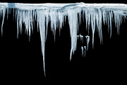 Icicles isolated from background, a Nature Photo by Countryside life (Thumbnail 1 of 22)