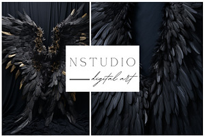 13 Black Angel Wings Backdrops