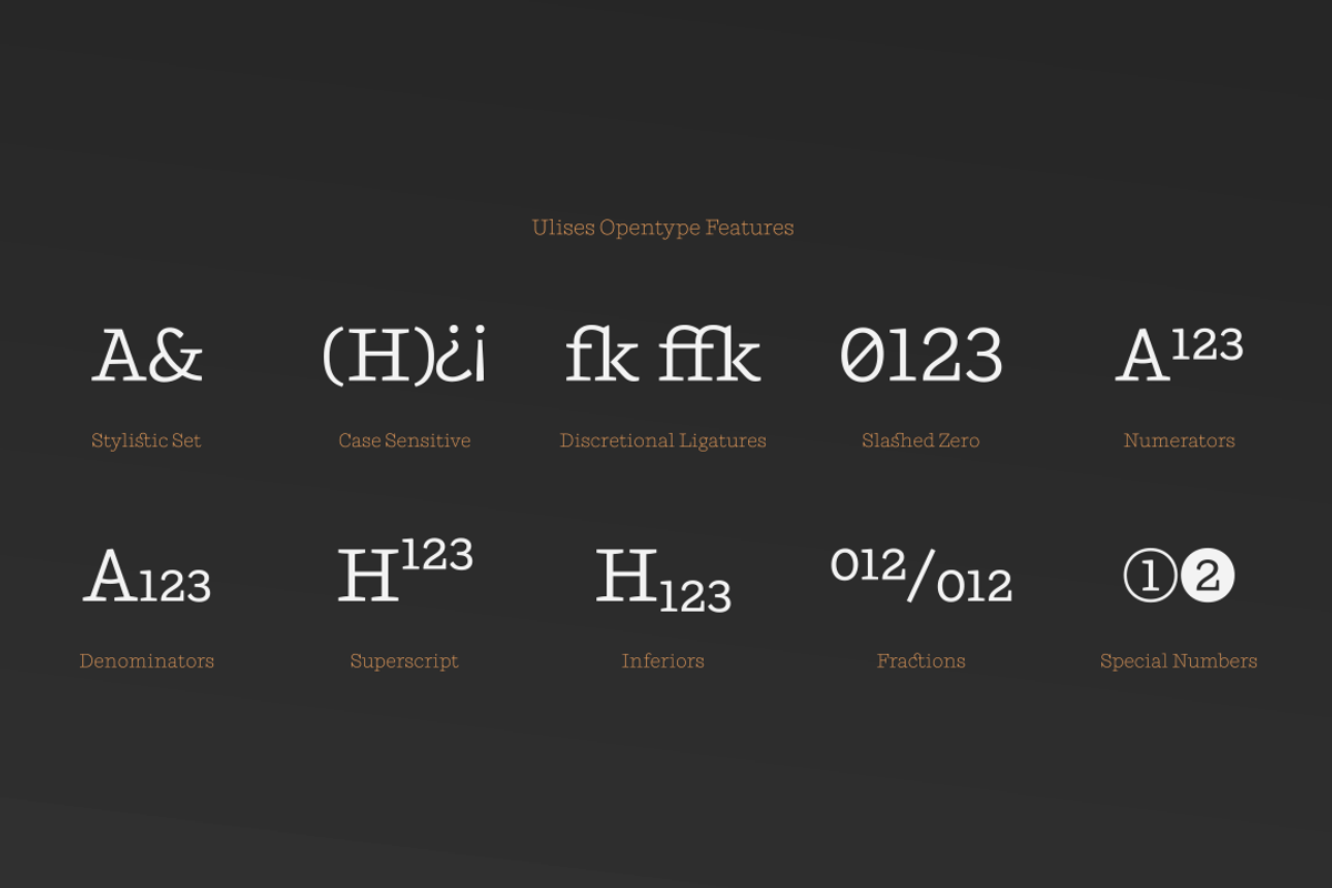 Ulises, a Font by W Type Foundry (Photo 12 of 13)