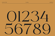 CS Avida – Elegant Serif Font, a Serif Font by Craft Supply Co. (Thumbnail 6 of 8)
