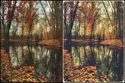 7000+ Professional Lightroom Presets, a Layer Style Add-On by Eldamar Studio (Thumbnail 8 of 33)
