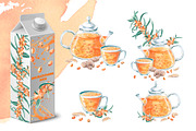 Sea Buckthorn and Ginger, a Food Illustration by SvetLana (Thumbnail 5 of 12)