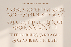 Orlente - Modern Serif Font