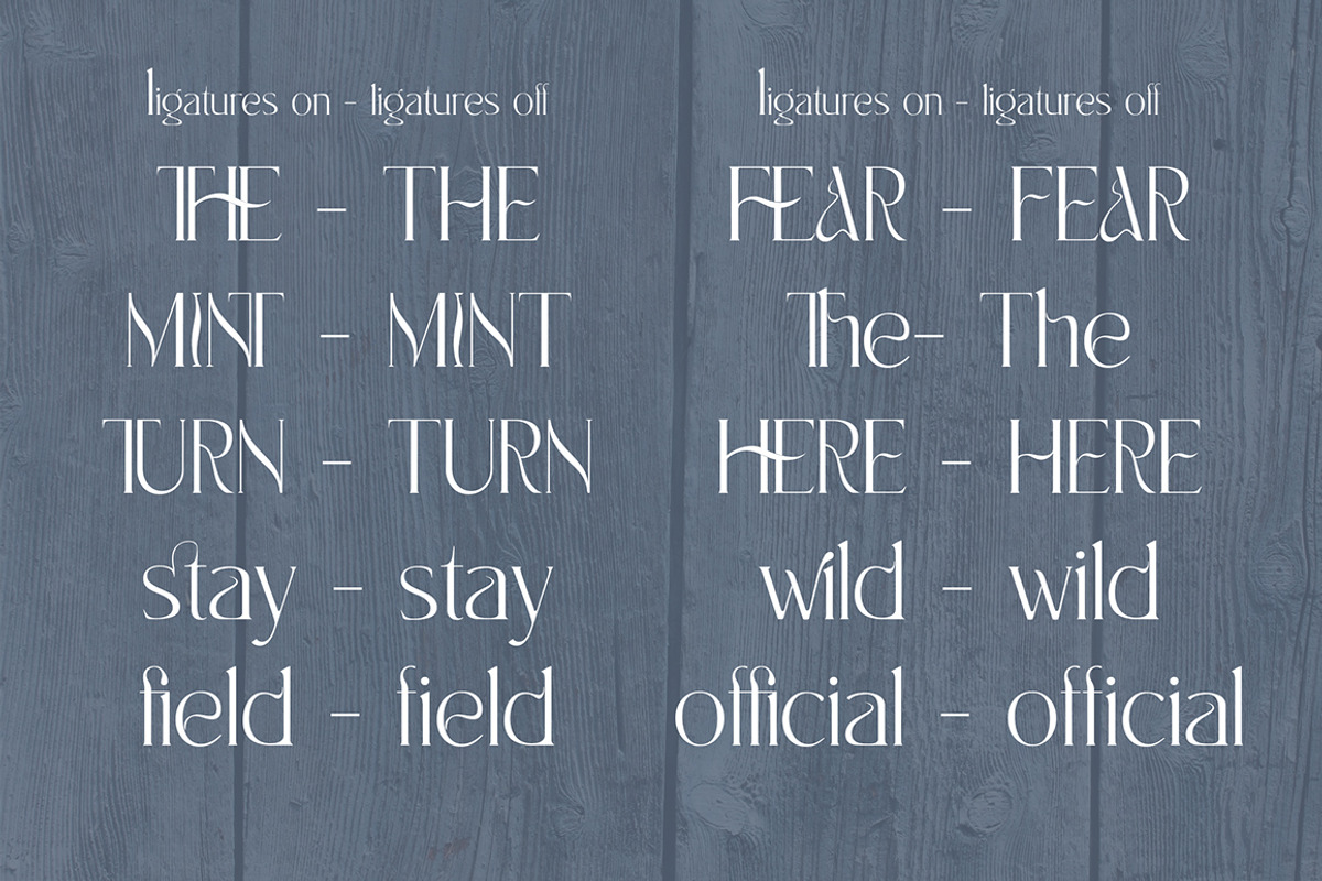 White Mint - elegant display serif, a Font by Innire (Photo 7 of 9)