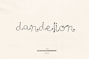 Dandelion Hand Drawn Font, a Handwritten Font by Madeline ODonoghue Design (Thumbnail 10 of 11)