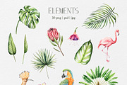 TROPICAL FOREST - Watercolor set, an Animal Illustration by Navenzeles (Thumbnail 15 of 16)