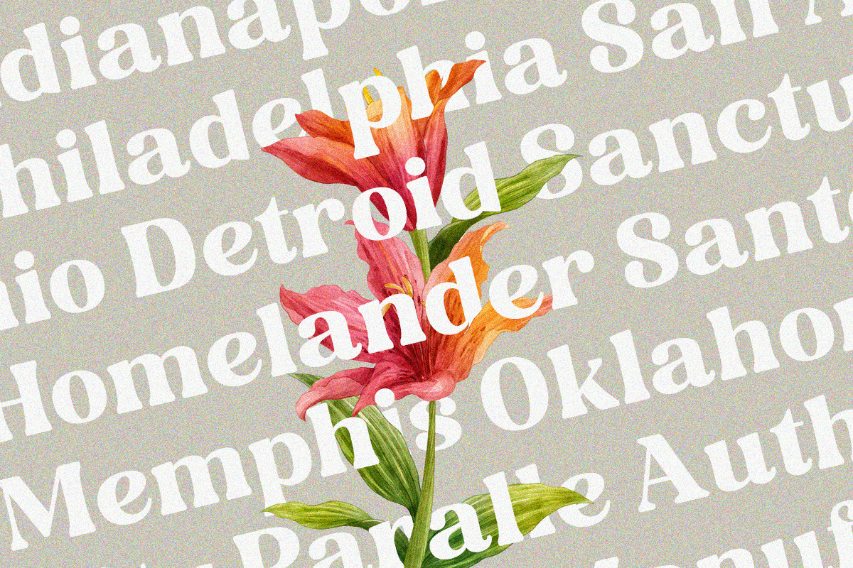 Folker Typeface, a Serif Font by Megatype (Photo 3 of 15)