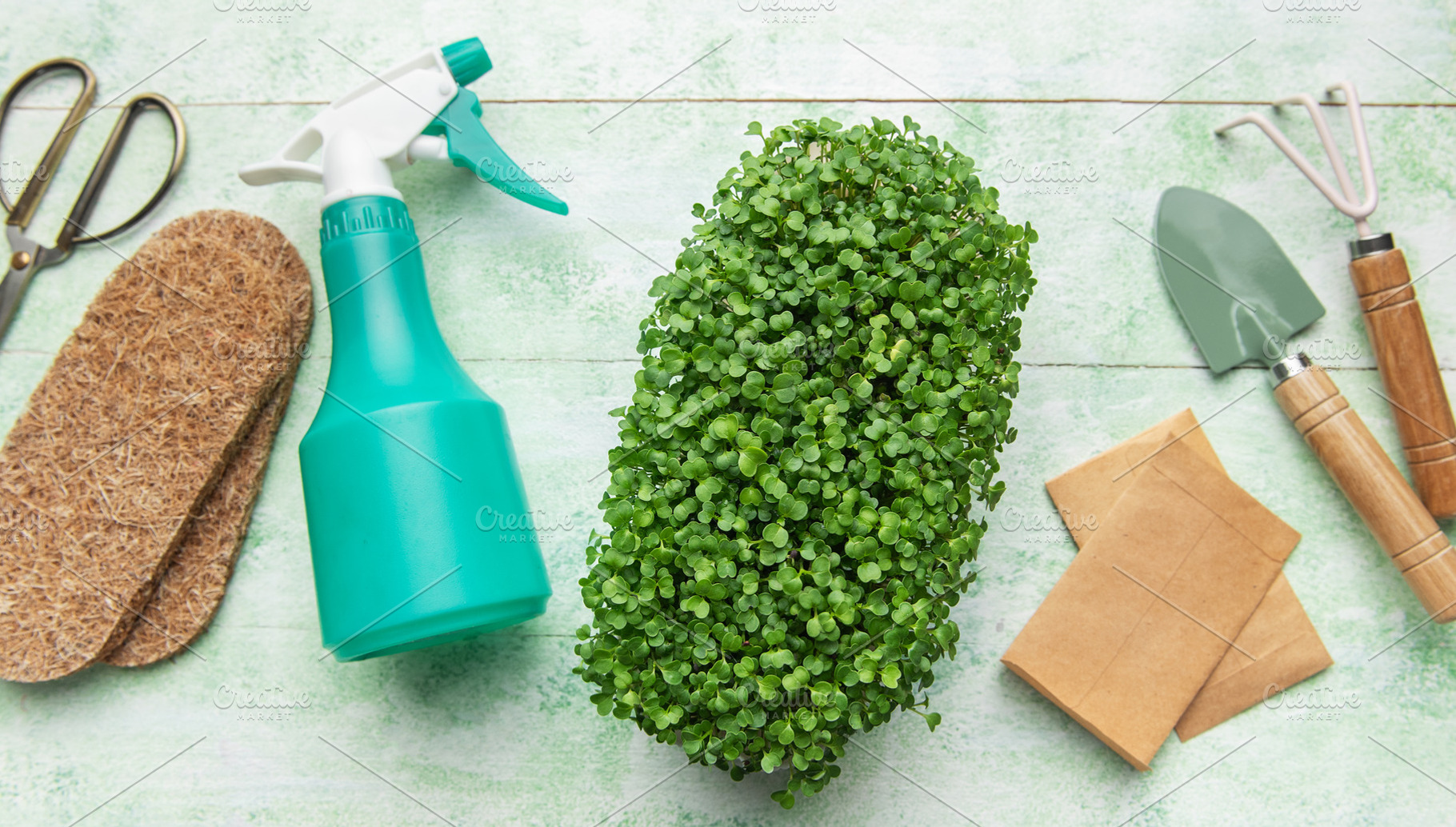Microgreens growing kit with gardening tools, a Food & Drink Photo by Olena Rudo