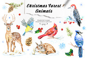 30 PNG images. Winter forest animals, an Animal Illustration by Art by Lady Natali (Thumbnail 1 of 8)