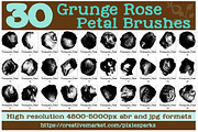 30 Grunge Rose Petal Brushes, a Brush Add-On by PixieSparks (Thumbnail 1 of 4)