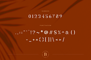Bilderberg Beauty Serif Font, a Serif Font by peterdraw (Thumbnail 9 of 10)