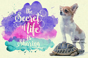 Wonder, a Script Font by JROH Creative (Thumbnail 5 of 5)
