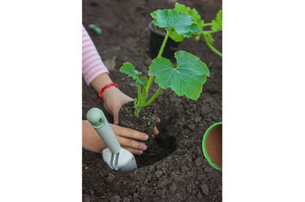 The child is planting a plant in the, a Nature Photo by yanadjana