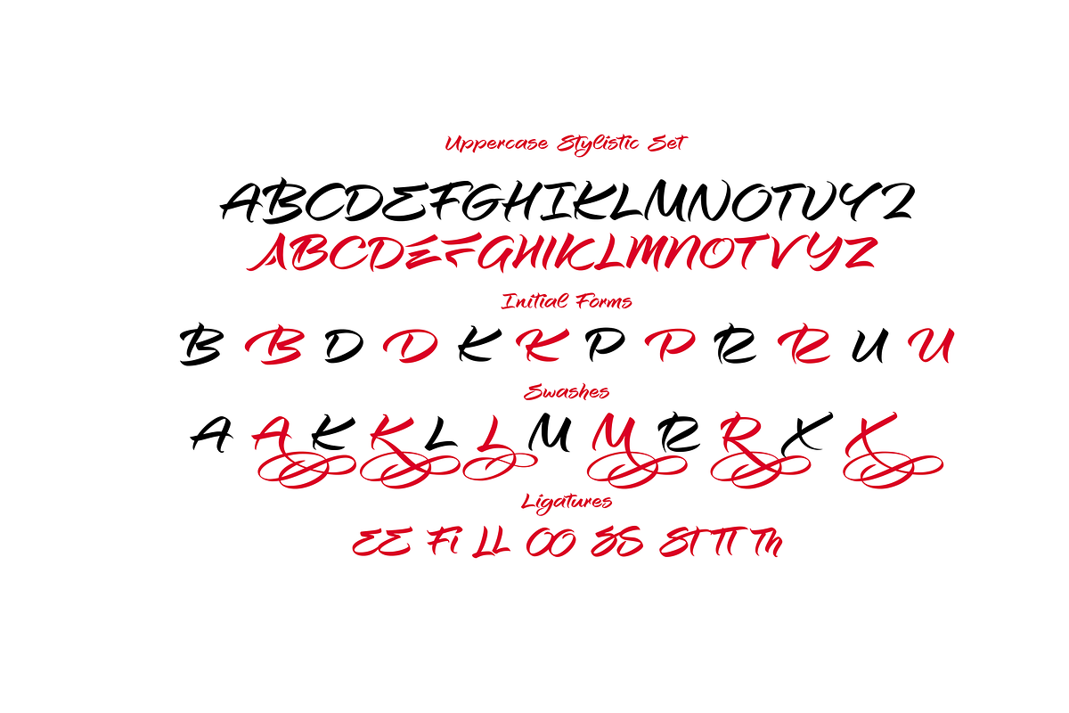 Kawasemi Brush Calligraphy, a Script Font by Roland Huse Design (Photo 8 of 9)
