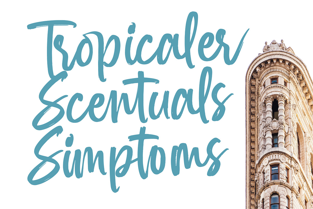 Spenty Brother Modern Brush Font, a Script Font by Letterena Studios Script (Photo 11 of 20)
