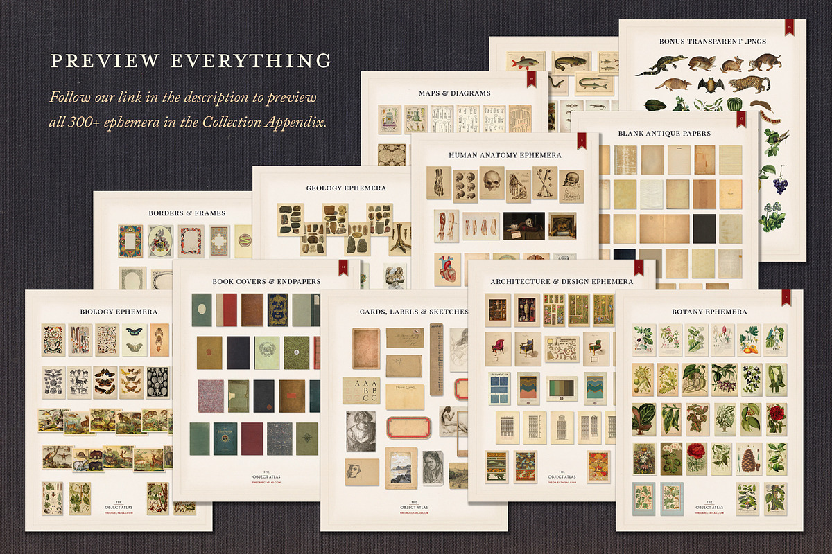 Dark Academia: 300 Vintage Ephemera, an Object Graphic by The Object Atlas (Photo 6 of 9)