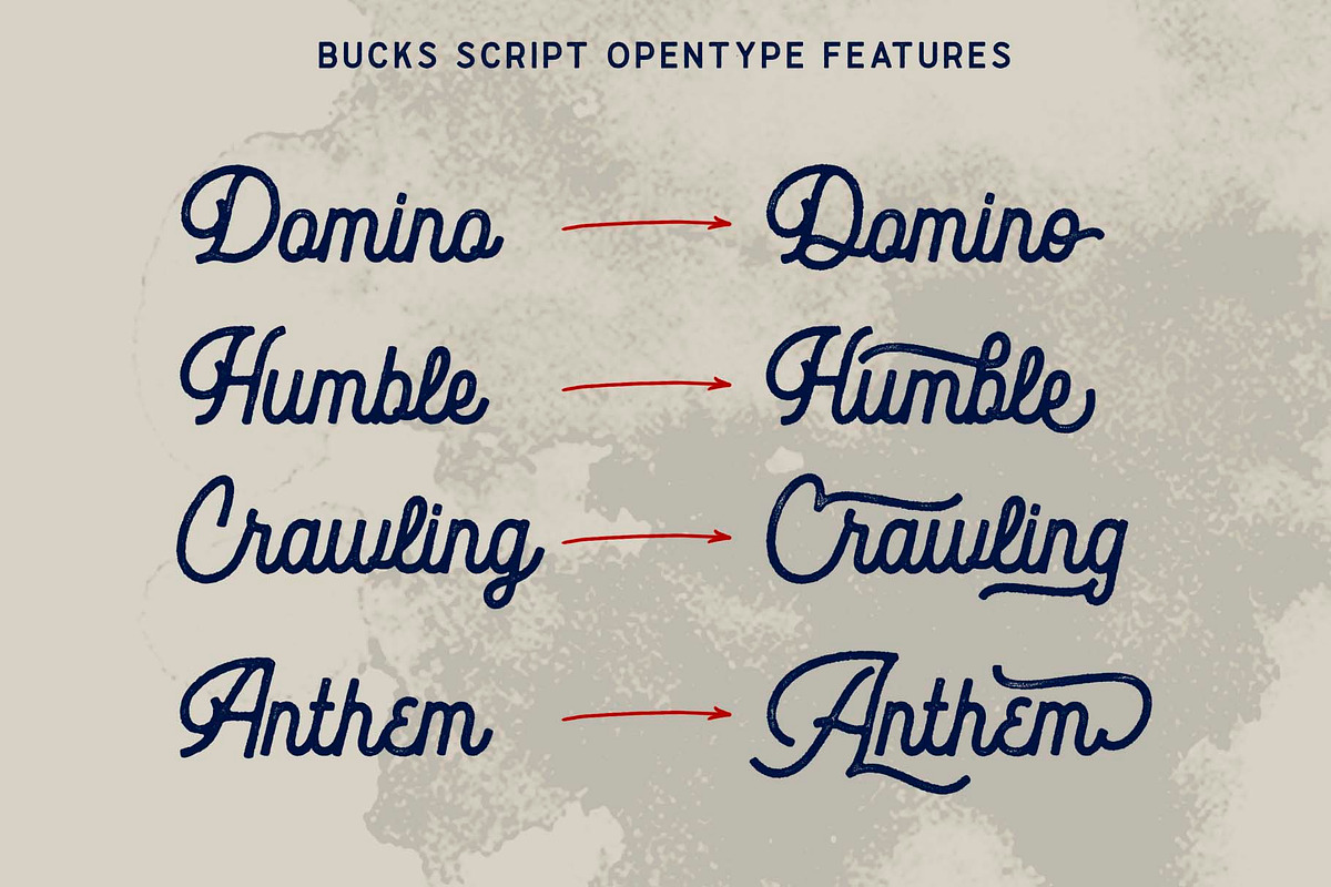 Bucks, a Script Font by Secondivison Supply (Photo 4 of 9)