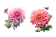 Dahlia Flower and Butterfly Clipart, an Object Graphic by EzDigitals (Thumbnail 6 of 8)