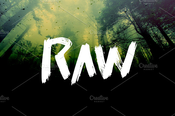 RAW - Brush Sans Serif font preview 5