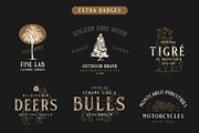 Gold Coast - Vintage Serif + Extras, a Serif Font by Craft Supply Co. (Thumbnail 5 of 10)