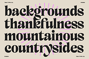TAN - ROBIN, a Serif Font by TanType (Thumbnail 3 of 11)