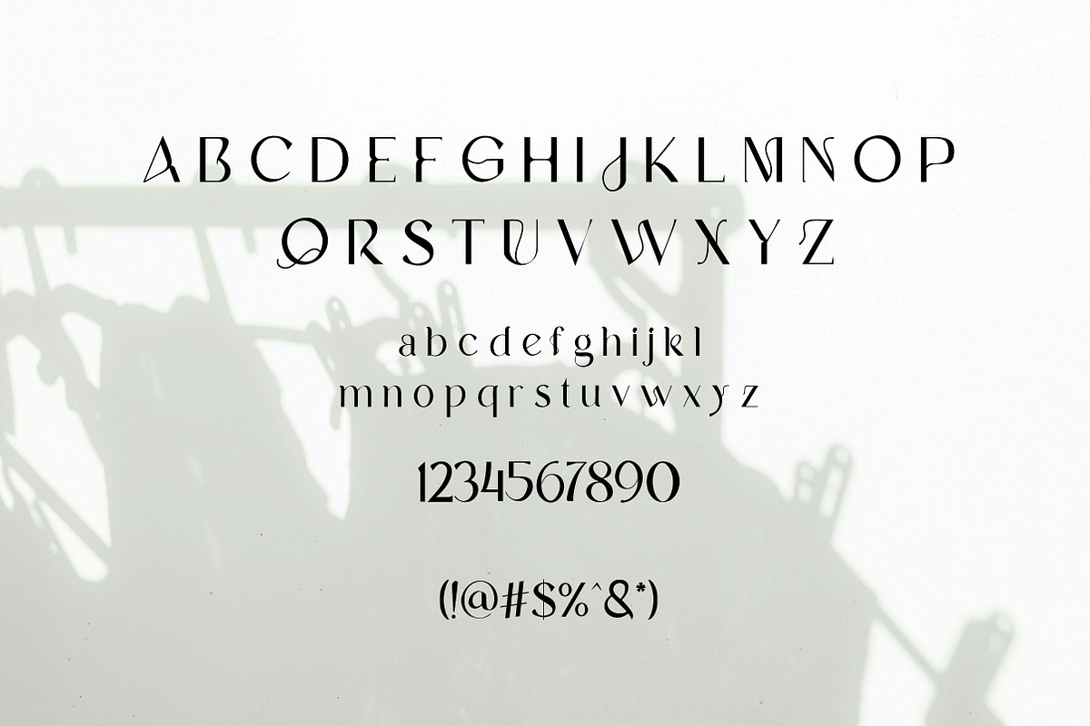Verniq | Elegant Modern Sans Serif, a Sans Serif Font by Artdez (Photo 4 of 4)
