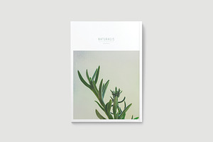 NATURALIS Lookbook / Magazine