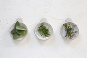 Healing Herbs Photo Bundle, a Health & Medical Photo by Wellness Stock Market (Thumbnail 7 of 12)